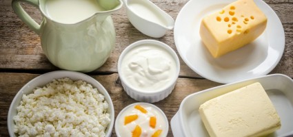 Молоко и молочные продукты. Факультативное занятие для учащихся II класса
