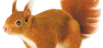 Миниатюры