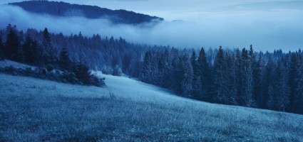 Зарифмовав прекрасное…