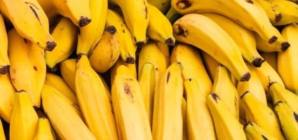 Заменитель сладостей. Какие бананы полезнее: зелёные или жёлтые перезрелые?
